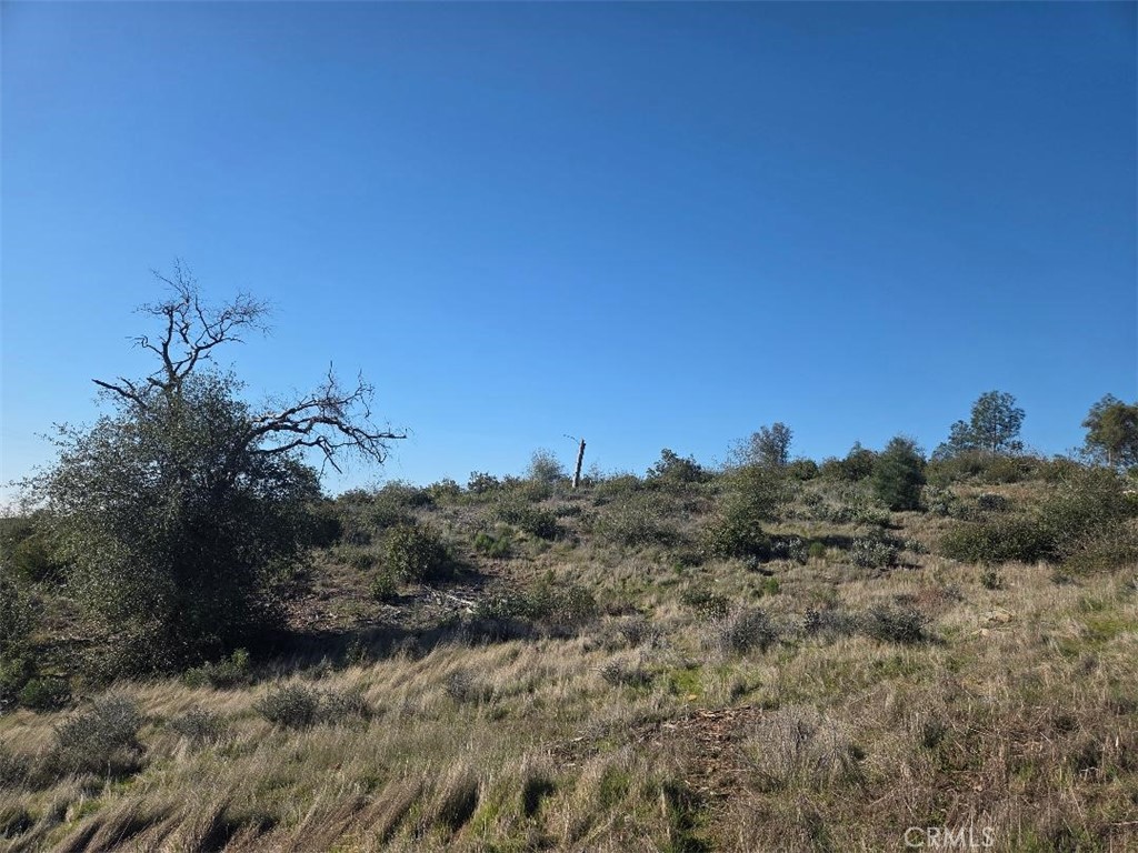 0 Nikki Jo Road Oroville, CA 95966 - Photo 20 of 22