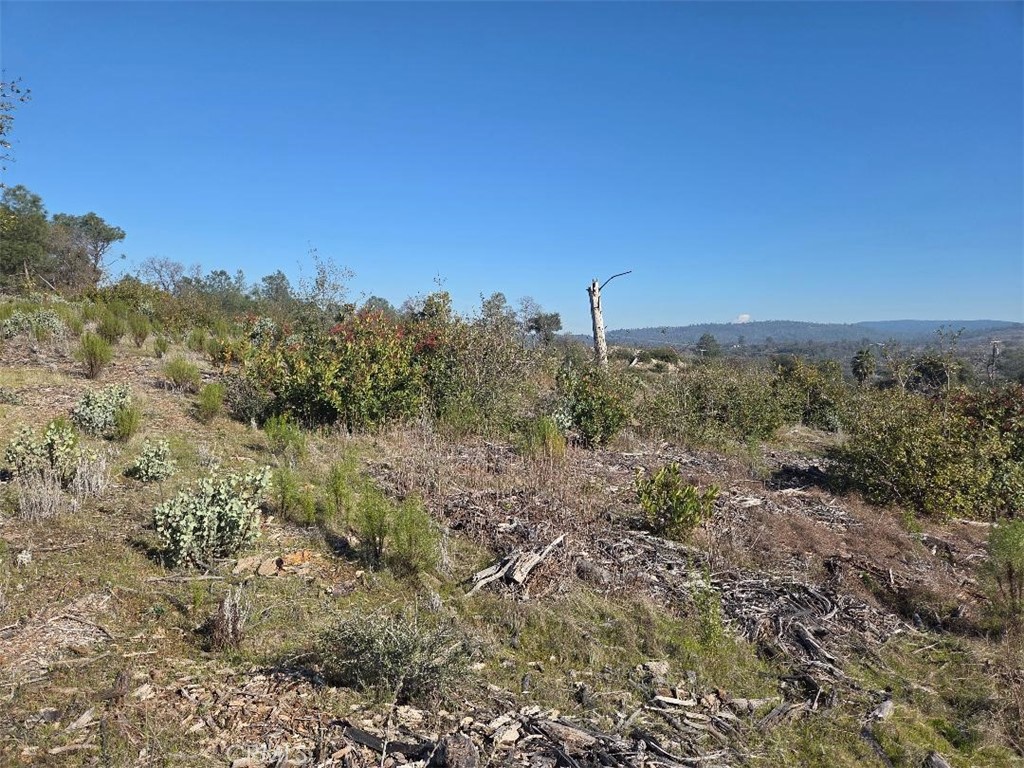0 Nikki Jo Road Oroville, CA 95966 - Photo 2 of 22
