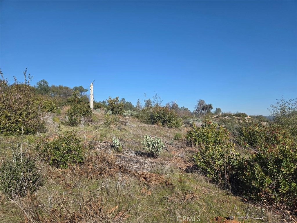 0 Nikki Jo Road Oroville, CA 95966 - Photo 3 of 22