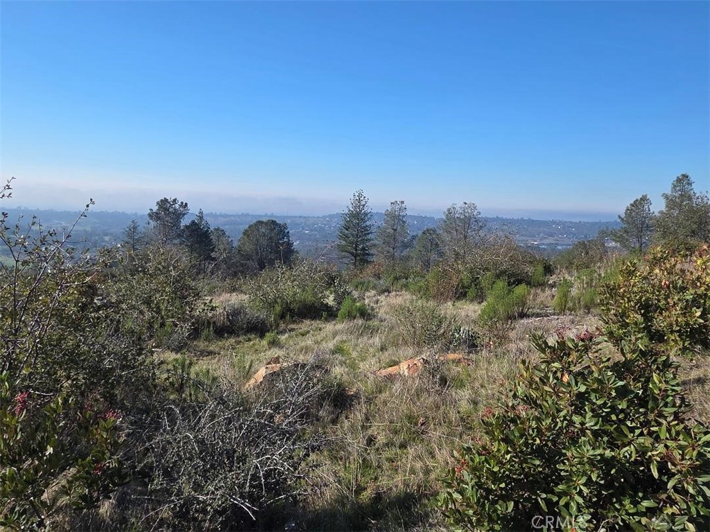 0 Nikki Jo Road Oroville, CA 95966 - Photo 4 of 22
