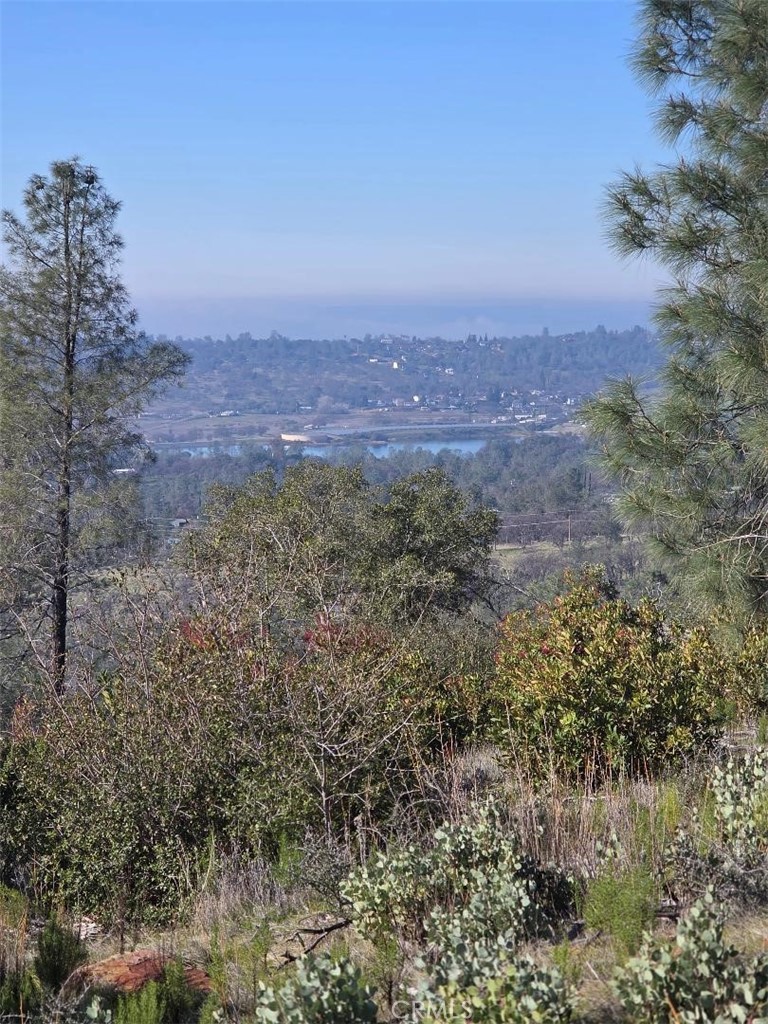 0 Nikki Jo Road Oroville, CA 95966 - Photo 5 of 22