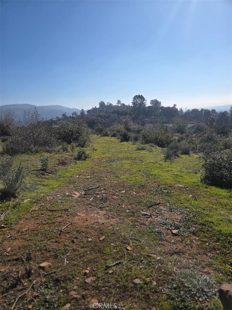 0 Nikki Jo Road Oroville, CA 95966 - Photo 6 of 22