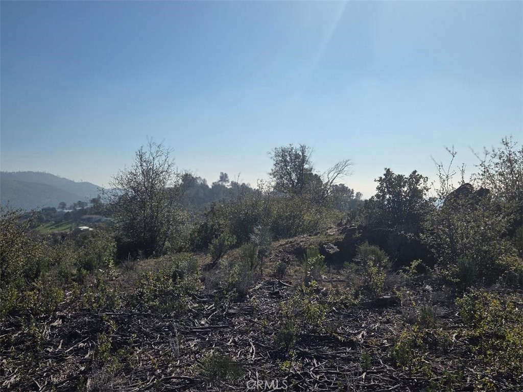 0 Nikki Jo Road Oroville, CA 95966 - Photo 7 of 22