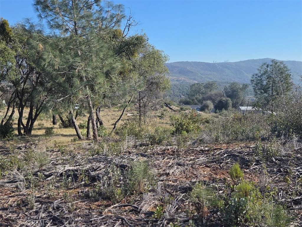 0 Nikki Jo Road Oroville, CA 95966 - Photo 8 of 22