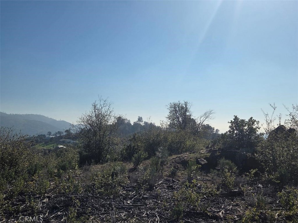 0 Nikki Jo Road Oroville, CA 95966 - Photo 9 of 22