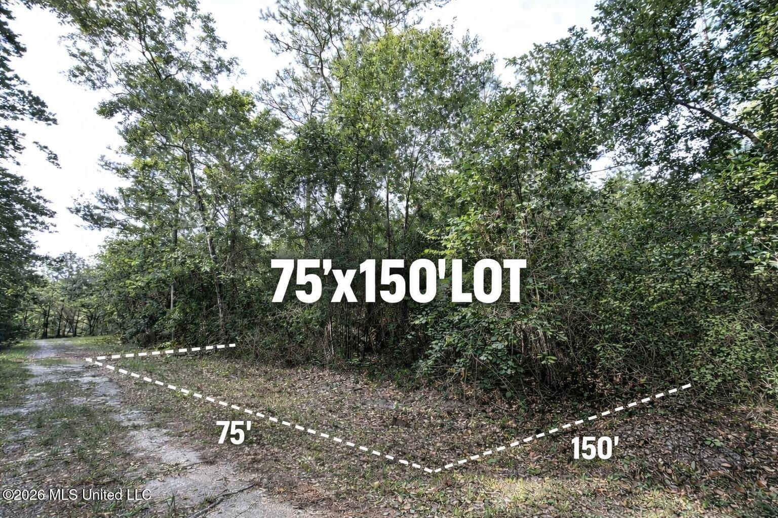 Wooded lot for sale with dimensions