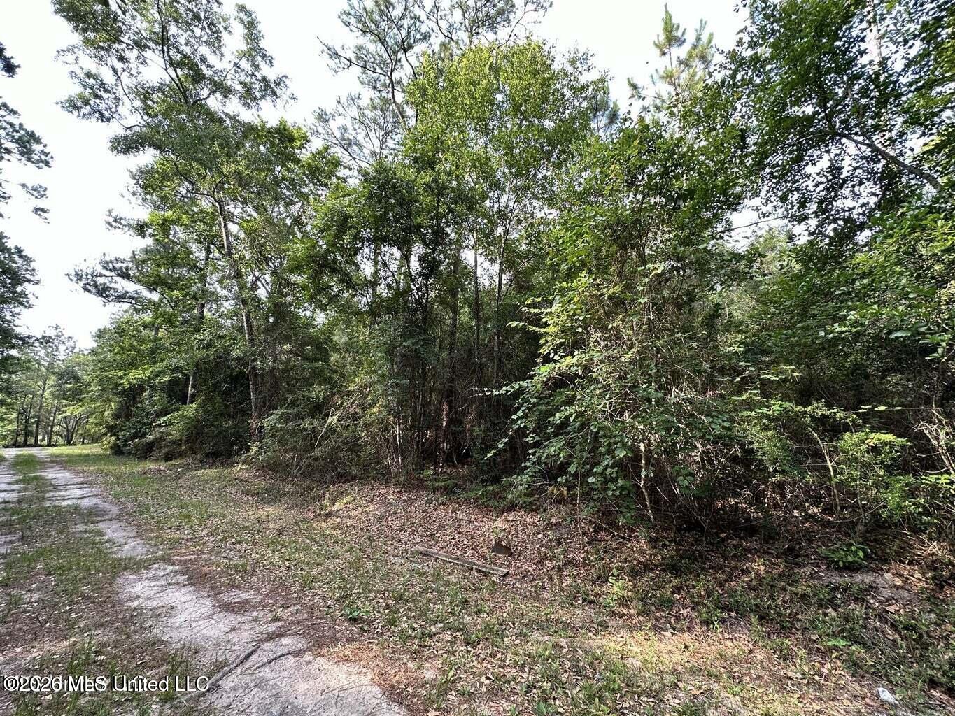 Bay Street Ocean Springs, MS 39564 - Photo 3 of 4 20230530170730947981000000-o