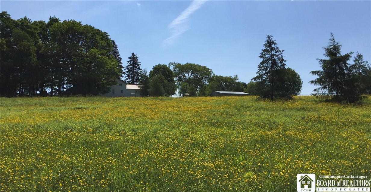 8905 Tug Hill Road Machias, NY 14101 - Photo 9 of 50