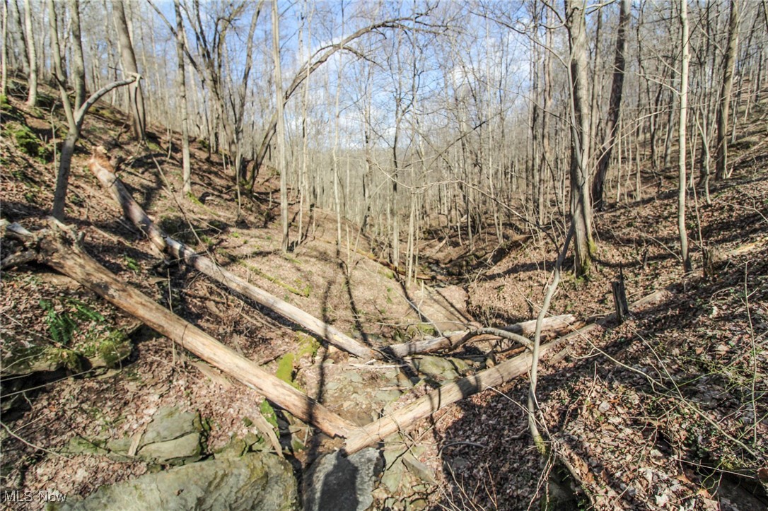 Elk Run Road New Matamoras, OH 45767 - Photo 21 of 27 View of local wilderness