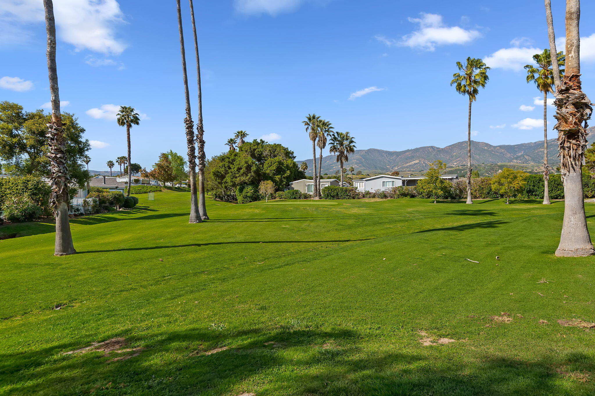 333 Old Mill Road, Unit SPC 79 Santa Barbara, CA 93110 - Photo 21 of 30 a view of a park with a palm tree