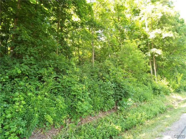 $20,000 | 0 Co Route, La Fargeville, NY 13656