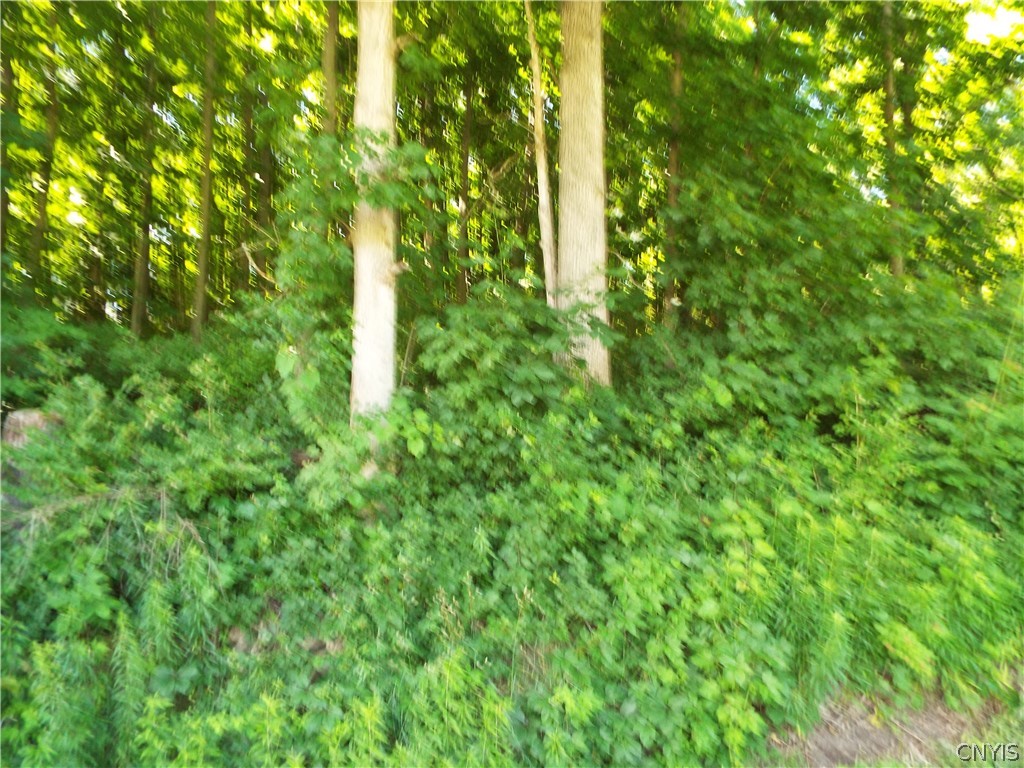 0 Co Route La Fargeville, NY 13656 - Photo 2 of 9