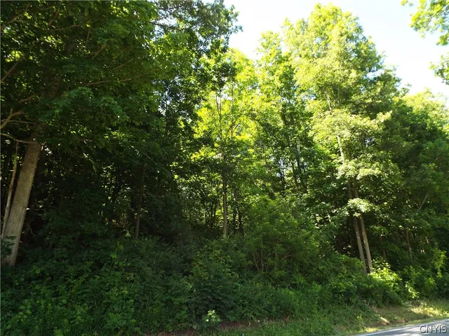 $20,000 | 0 Co Route, La Fargeville, NY 13656