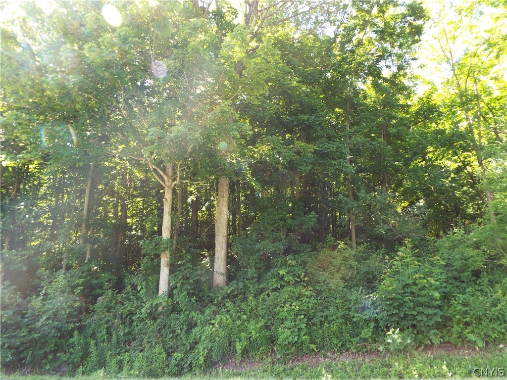 0 Co Route La Fargeville, NY 13656 - Photo 4 of 9