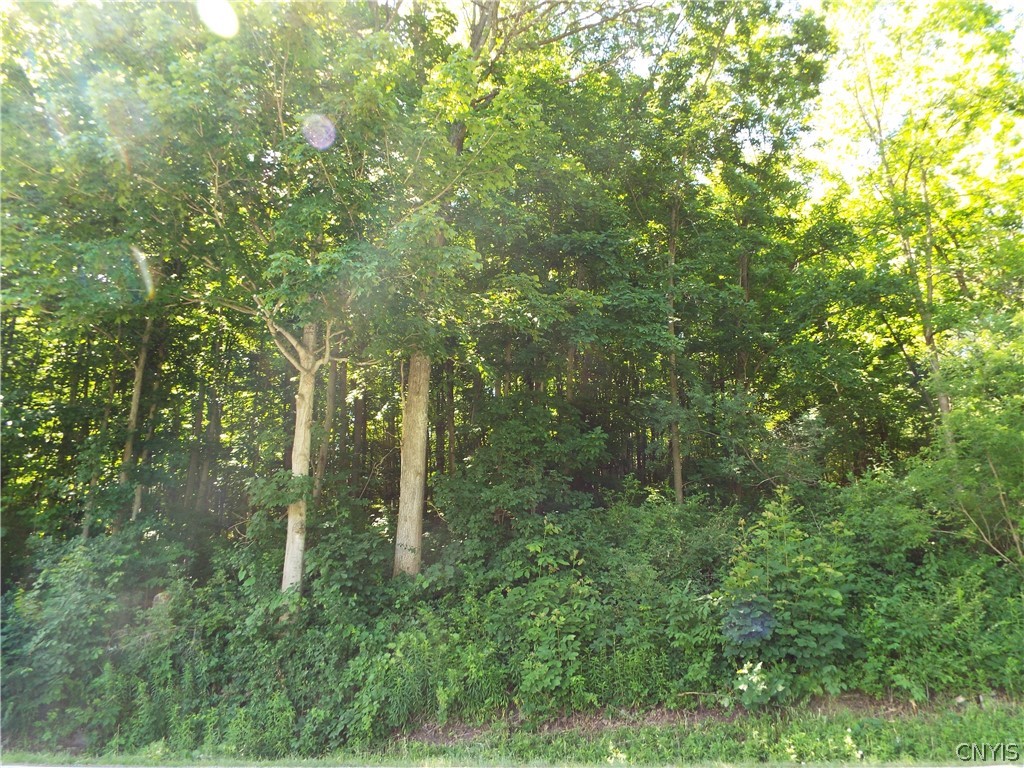 0 Co Route La Fargeville, NY 13656 - Photo 5 of 9