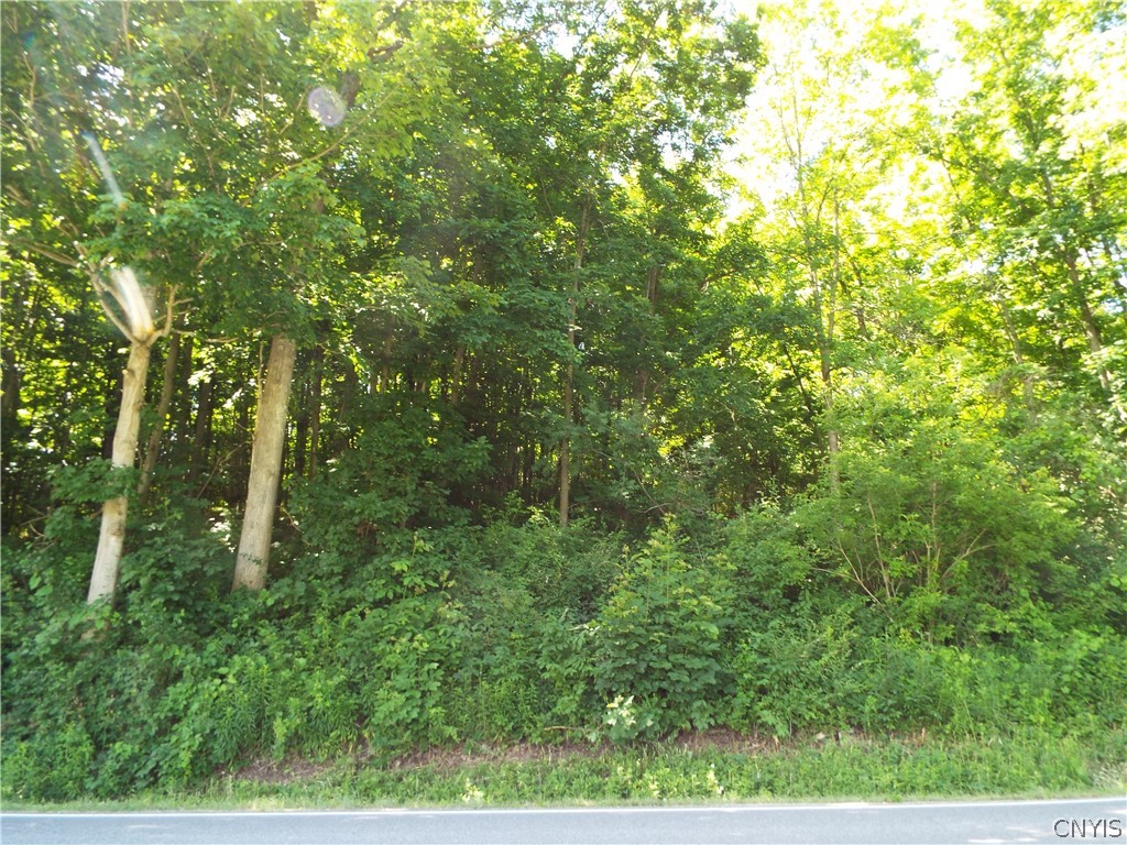 0 Co Route La Fargeville, NY 13656 - Photo 6 of 9