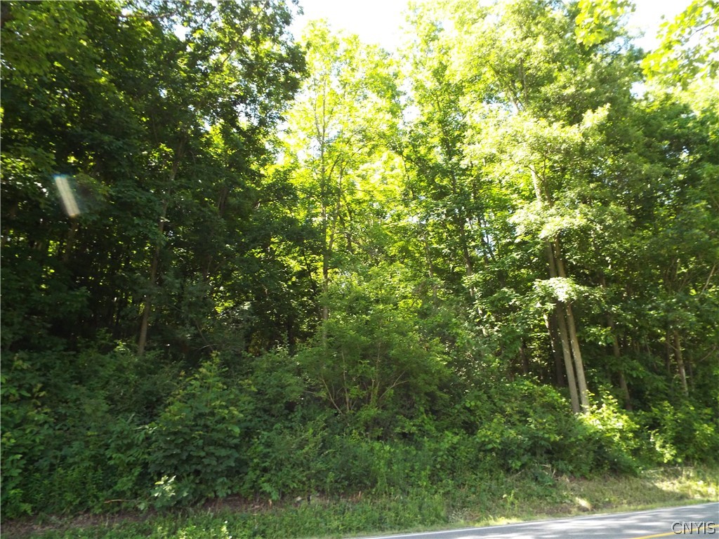 0 Co Route La Fargeville, NY 13656 - Photo 7 of 9