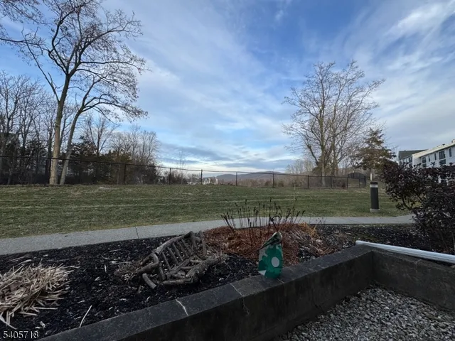 a view of a yard with trees in front of it