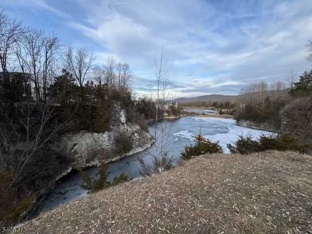 a view of a dry yard with trees