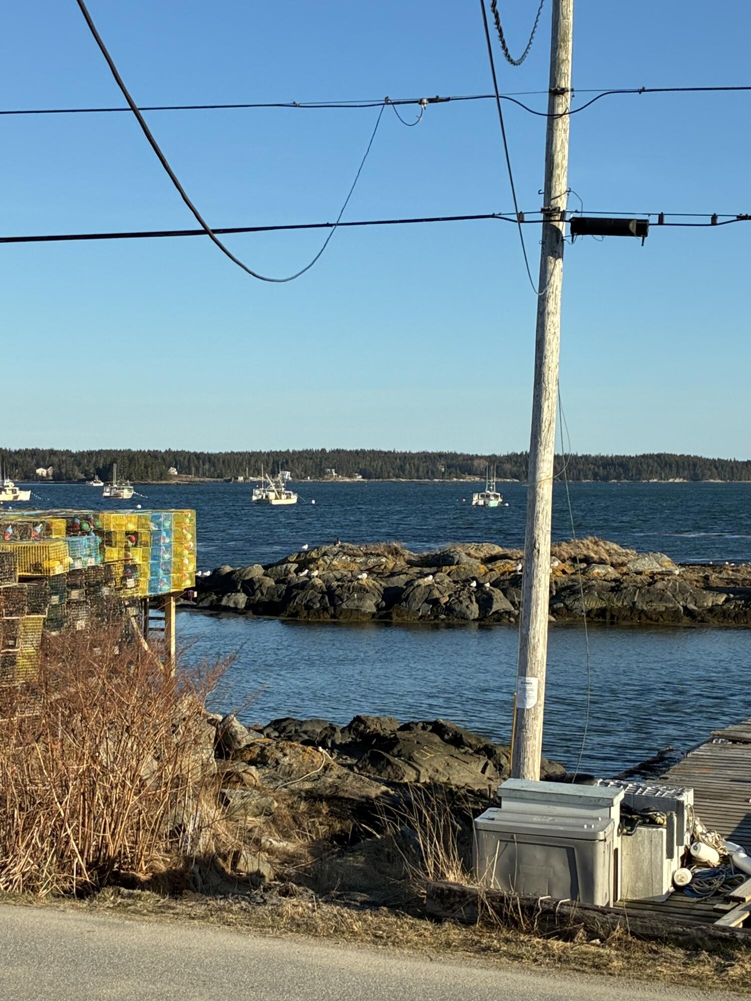21 Sadler Point Road Jonesport, ME 04649 - Photo 4 of 51 View from Driveway