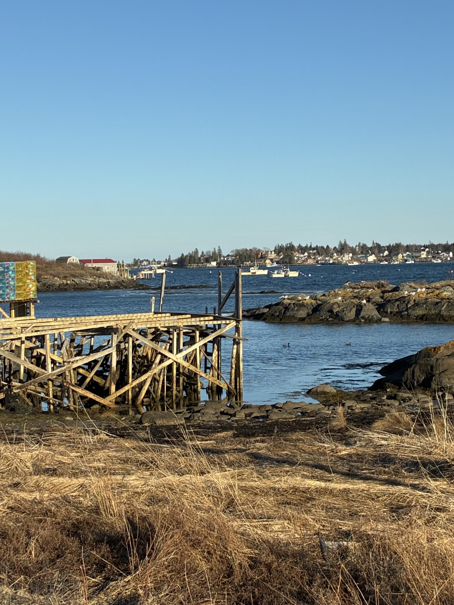 21 Sadler Point Road Jonesport, ME 04649 - Photo 8 of 51 Looking across the street