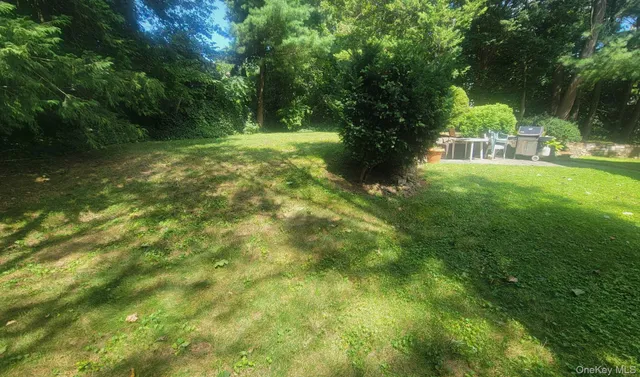 a view of yard with green space