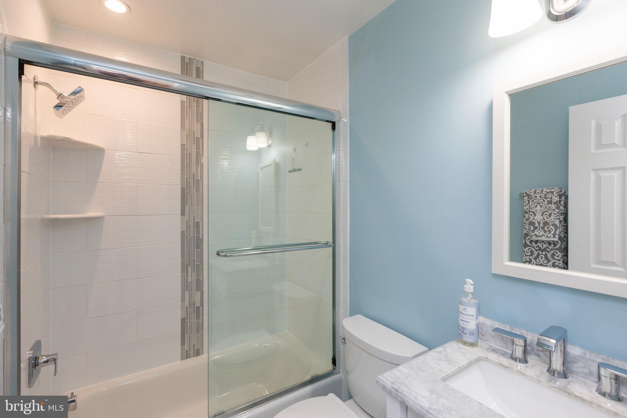 1900 Flowering Tree Terrace Silver Spring, MD 20902 - Photo 18 of 37 Luxurious hall bathe with full tub