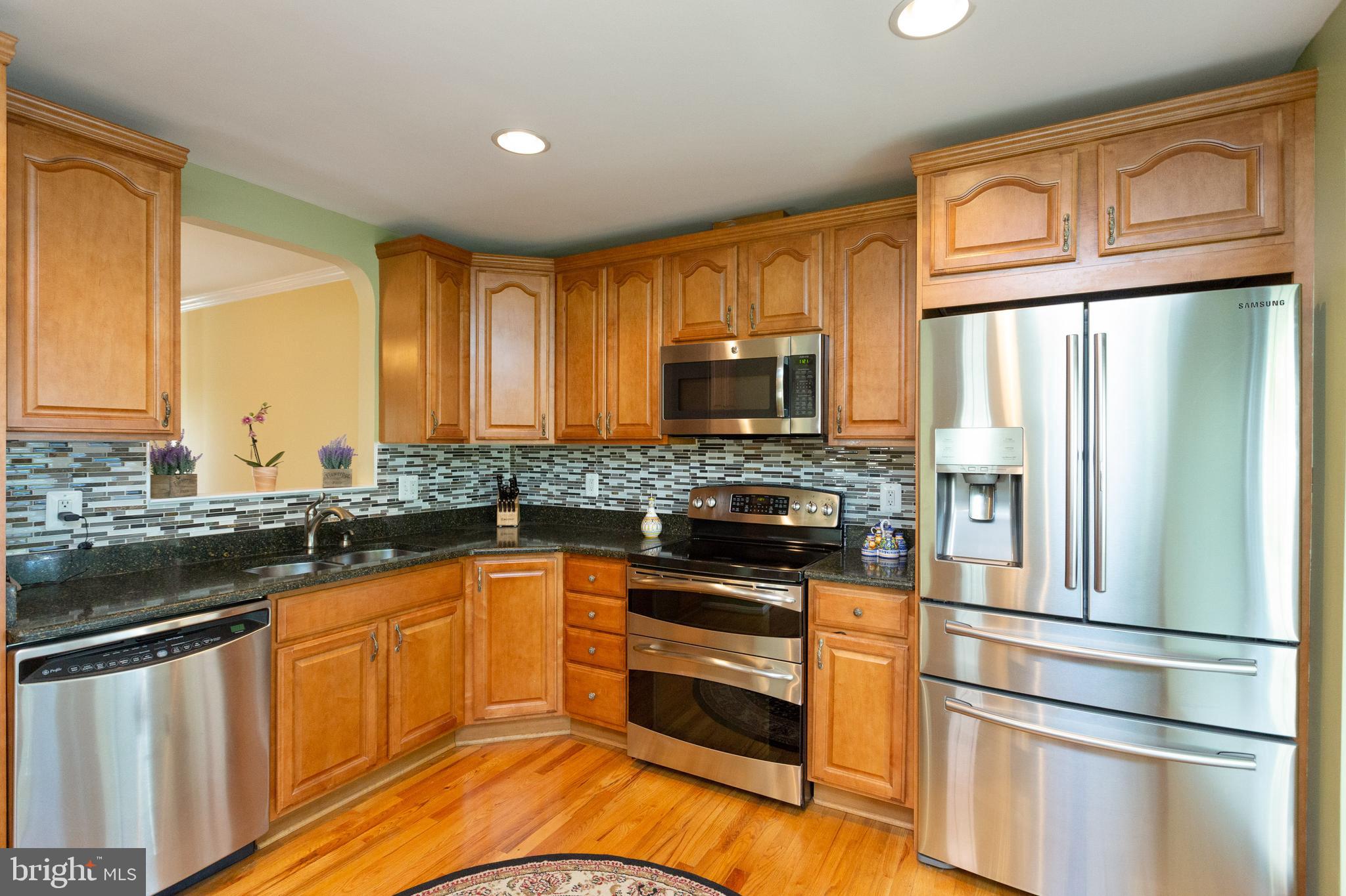 1900 Flowering Tree Terrace Silver Spring, MD 20902 - Photo 10 of 37 Beautiful Quartz Countertops!