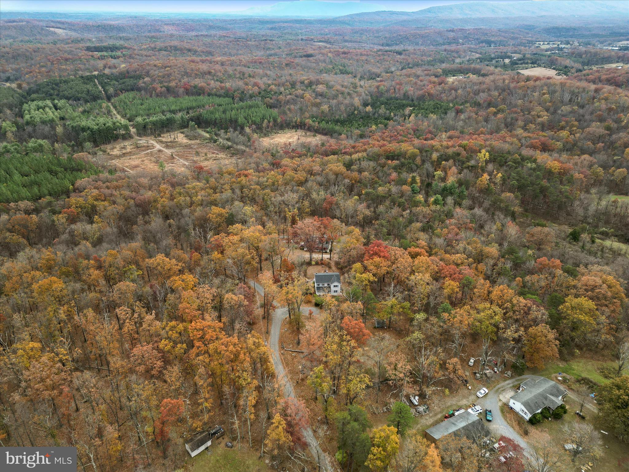 4403 Back Mountain Road Winchester, VA 22602 - Photo 57 of 73 an aerial view of forest