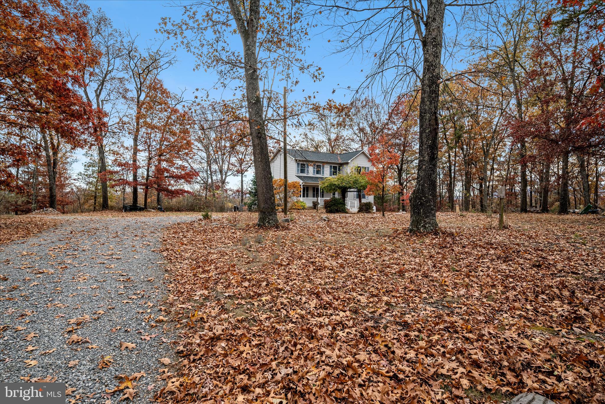 4403 Back Mountain Road Winchester, VA 22602 - Photo 61 of 73 a backyard of a house with large trees