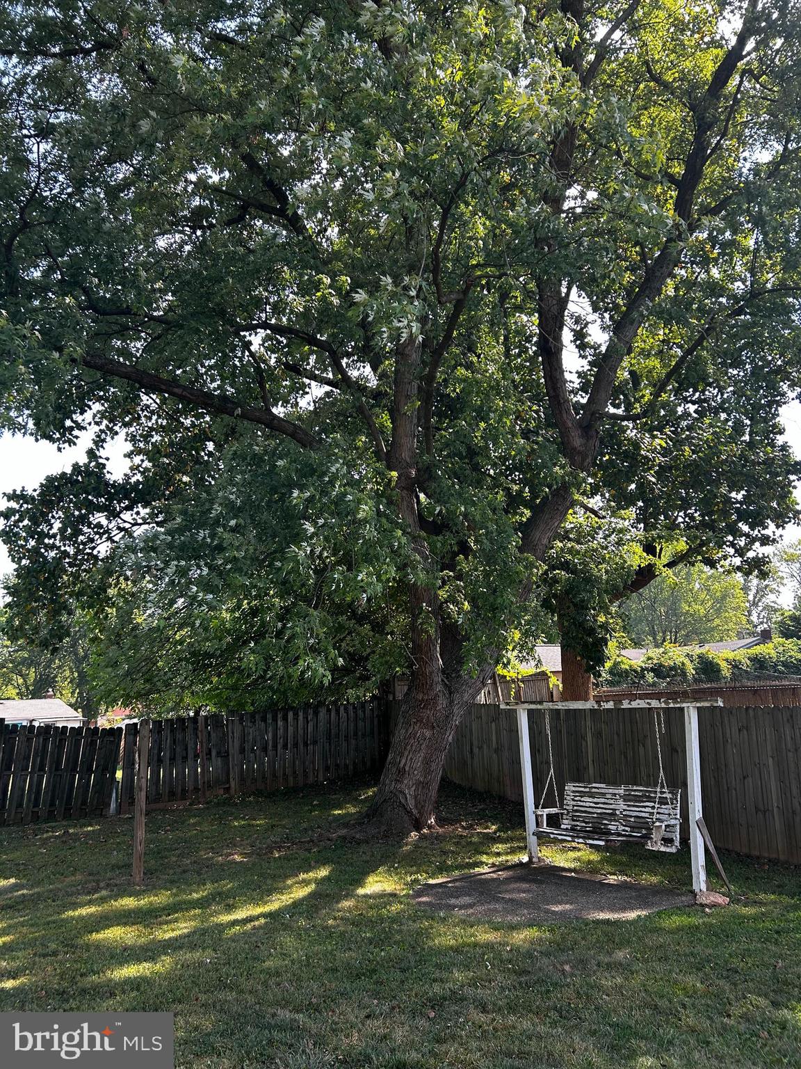 1906 Reedie Drive Silver Spring, MD 20902 - Photo 19 of 19 Lovely backyard
