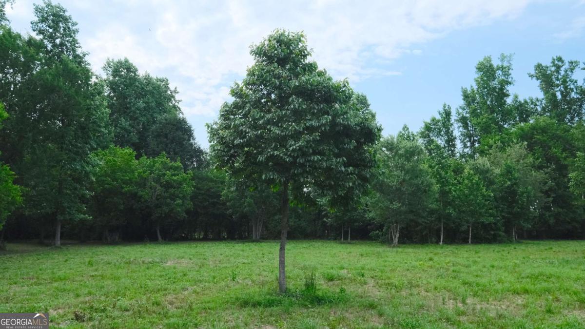 1455 Tappan Spur Road Watkinsville, GA 30677 - Photo 13 of 38