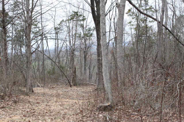 0 Tide Spring Road Linville, VA 22834 - Photo 1 of 1 Gallery Image 1