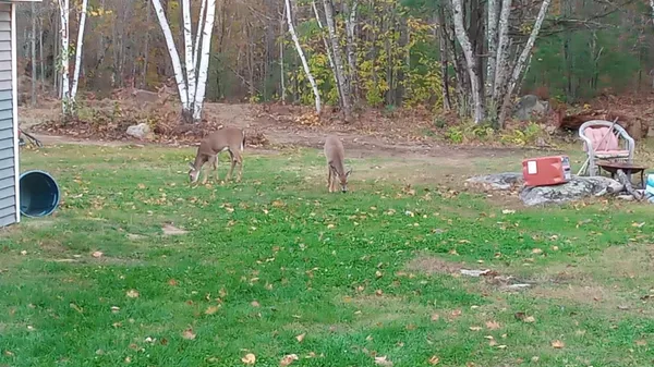 $485,000 | 35 Pierce Road, Oxford, ME 04270