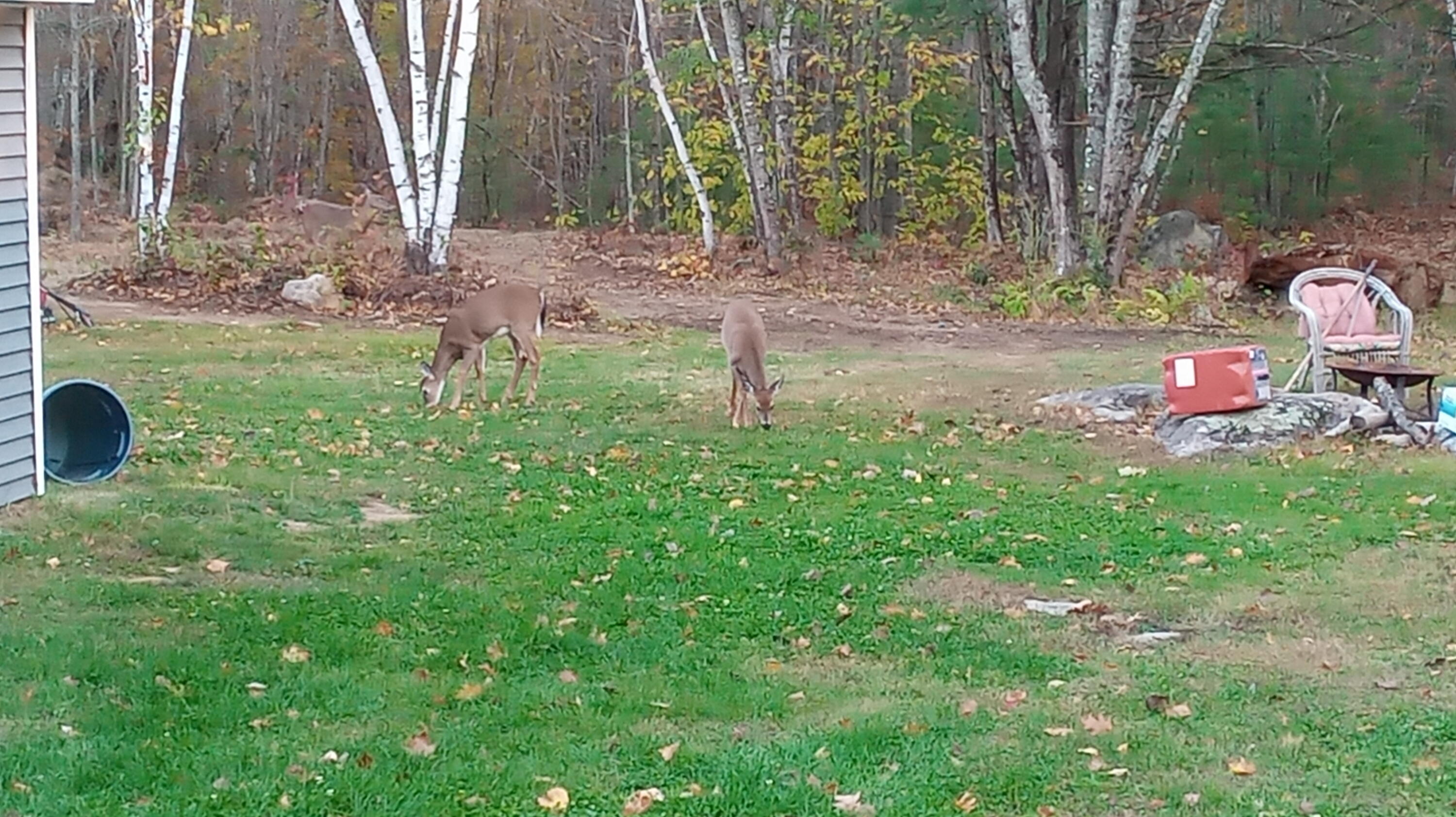 35 Pierce Road Oxford, ME 04270 - Photo 41 of 50 20201011_174139