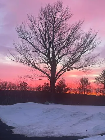 $485,000 | 35 Pierce Road, Oxford, ME 04270