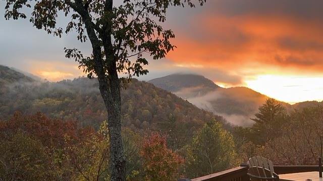 101 Falling Rock Road Blue Ridge, GA 30513 - Photo 5 of 64 Photo provided by seller