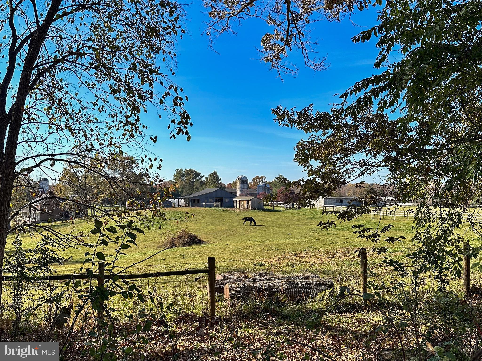 38834 Eudora Lane Hamilton, VA 20158 - Photo 4 of 98 View from trail towards large fenced field