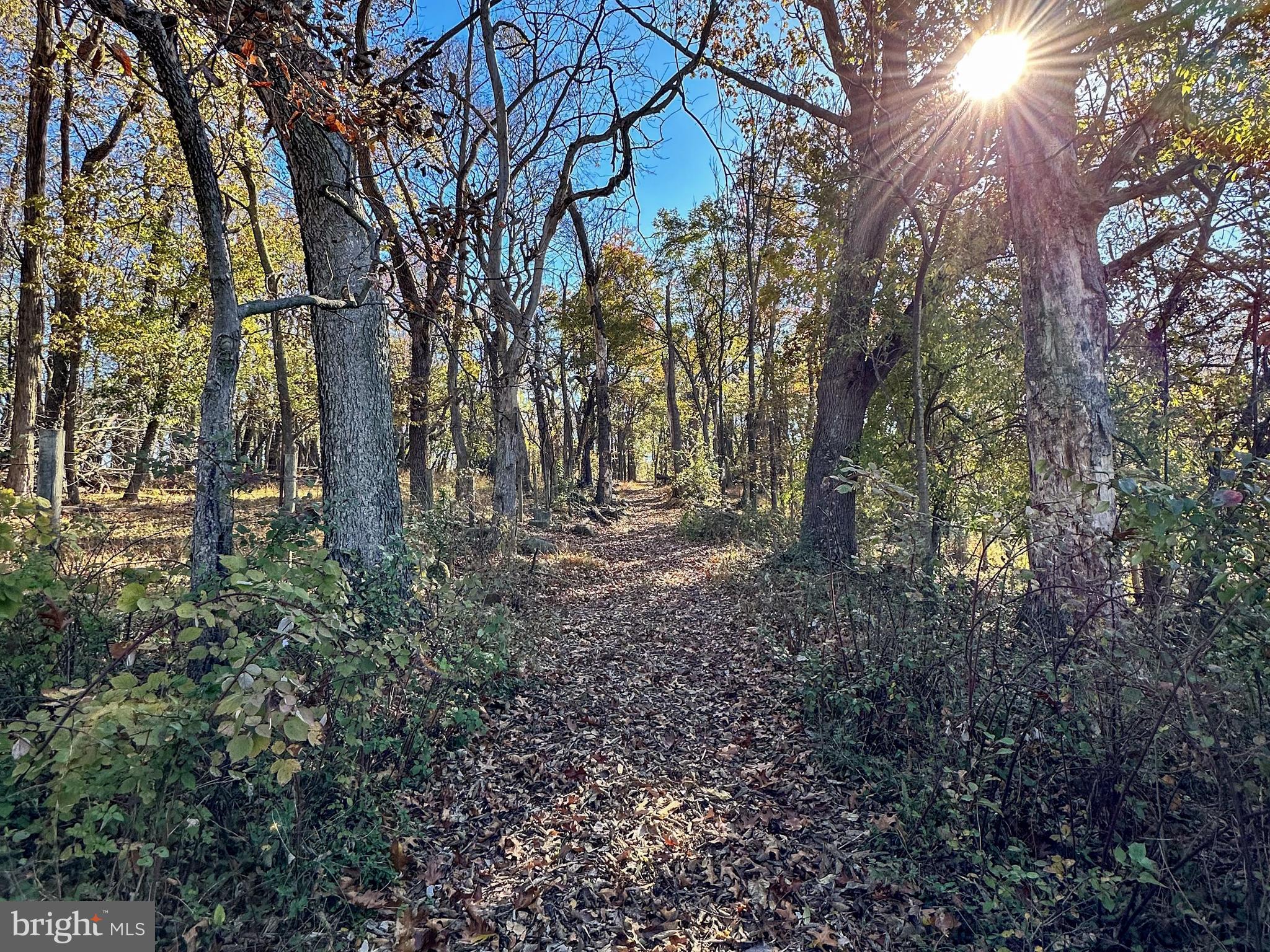38834 Eudora Lane Hamilton, VA 20158 - Photo 6 of 98 Awesome trails throughout the property