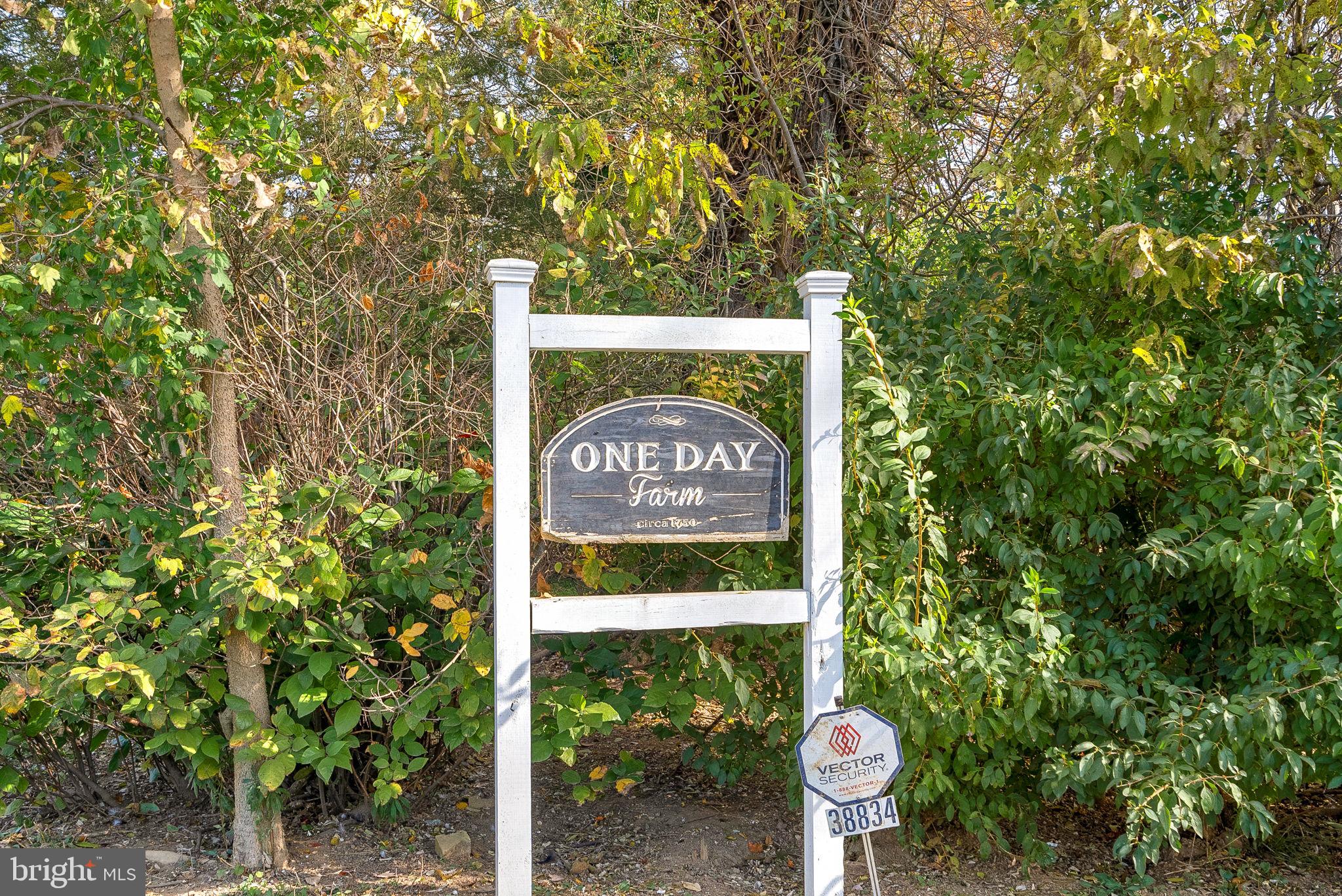 38834 Eudora Lane Hamilton, VA 20158 - Photo 63 of 98 One Day Farm