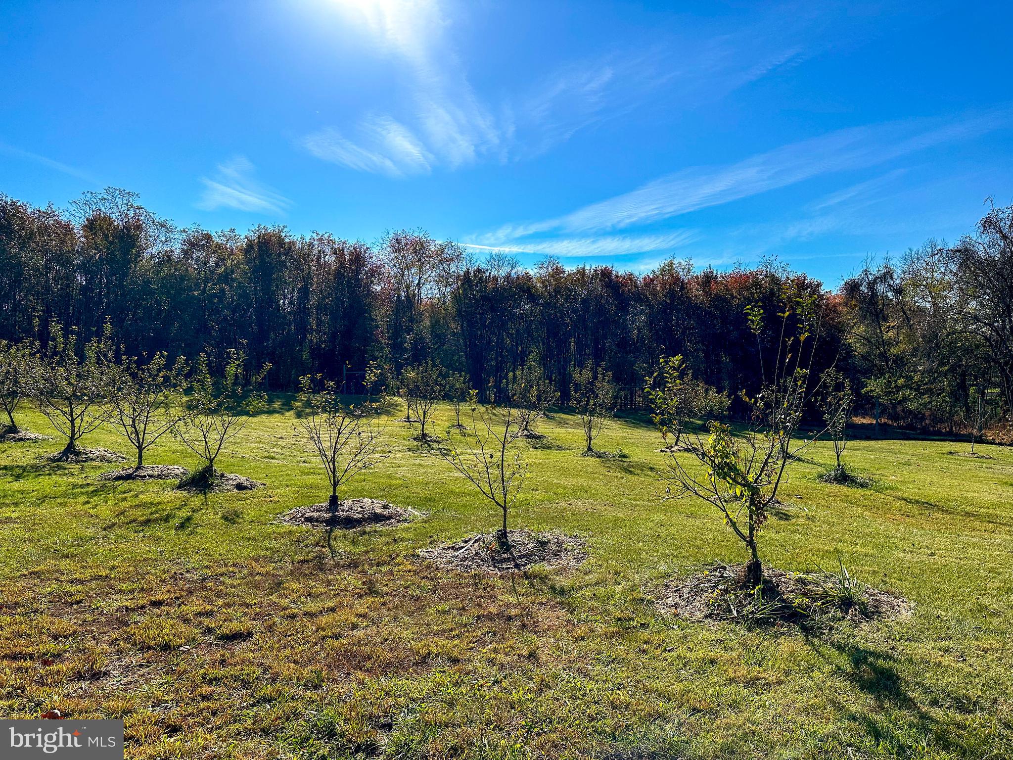 38834 Eudora Lane Hamilton, VA 20158 - Photo 80 of 98 Orchard