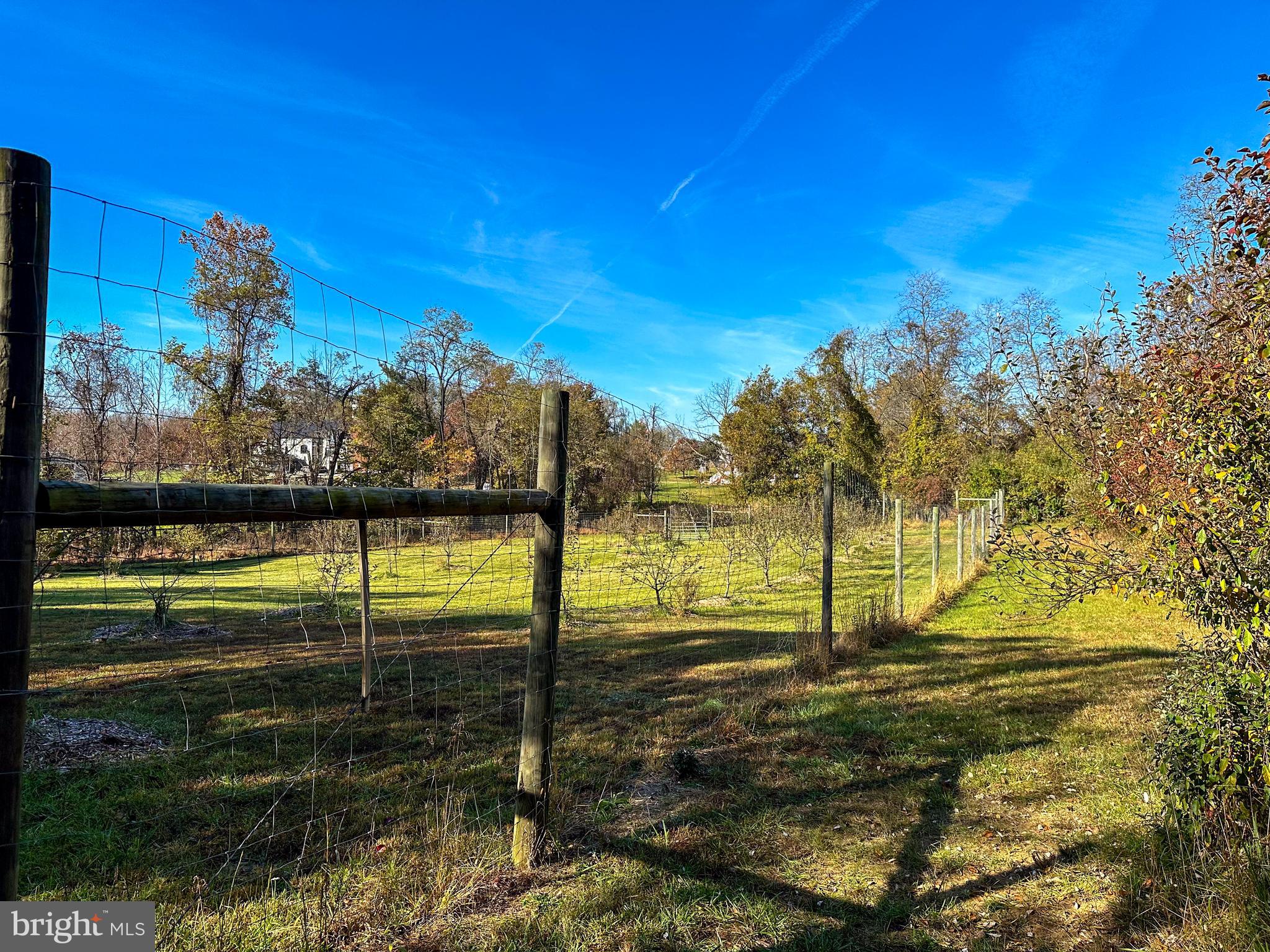 38834 Eudora Lane Hamilton, VA 20158 - Photo 81 of 98 View from back corner of orchard towards the house