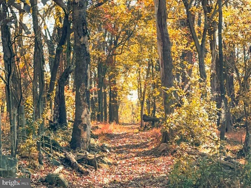 38834 Eudora Lane Hamilton, VA 20158 - Photo 82 of 98 Stunning trails throughout the property