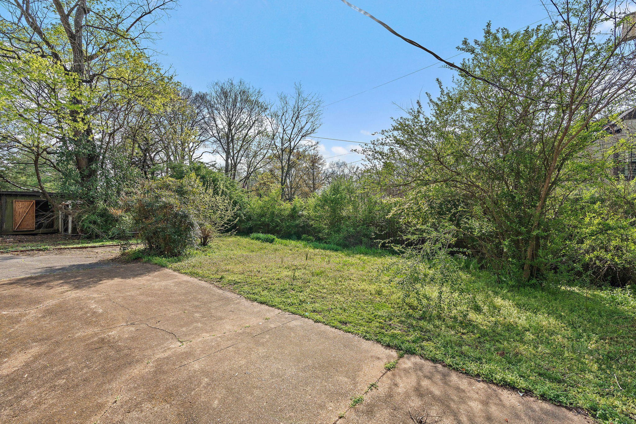 225 Mockingbird Road Nashville, TN 37205 - Photo 31 of 35 a view of a yard with plants and trees beside of it