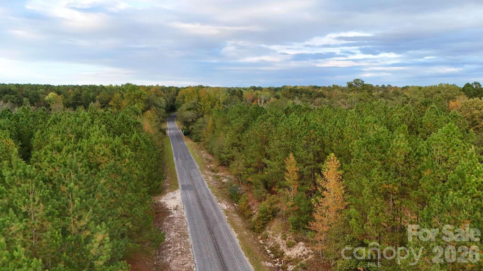 0 Steen Road Mount Croghan, SC 29727 - Photo 13 of 19 a view of a yard with wooden fence