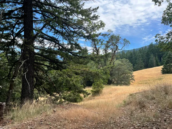 $195,000 | 0 Stapp Road, Kneeland, CA 95549