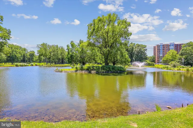 a view of a lake with a building in the background