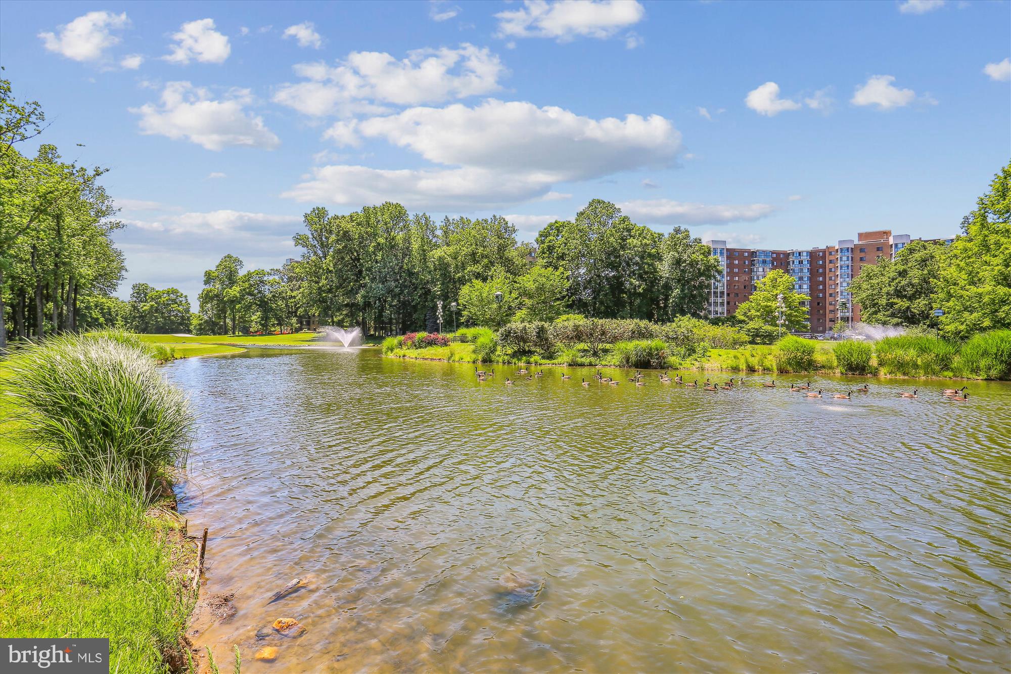 15115 Interlachen Drive, Unit 3308 Silver Spring, MD 20906 - Photo 22 of 50 a view of a lake with a yard