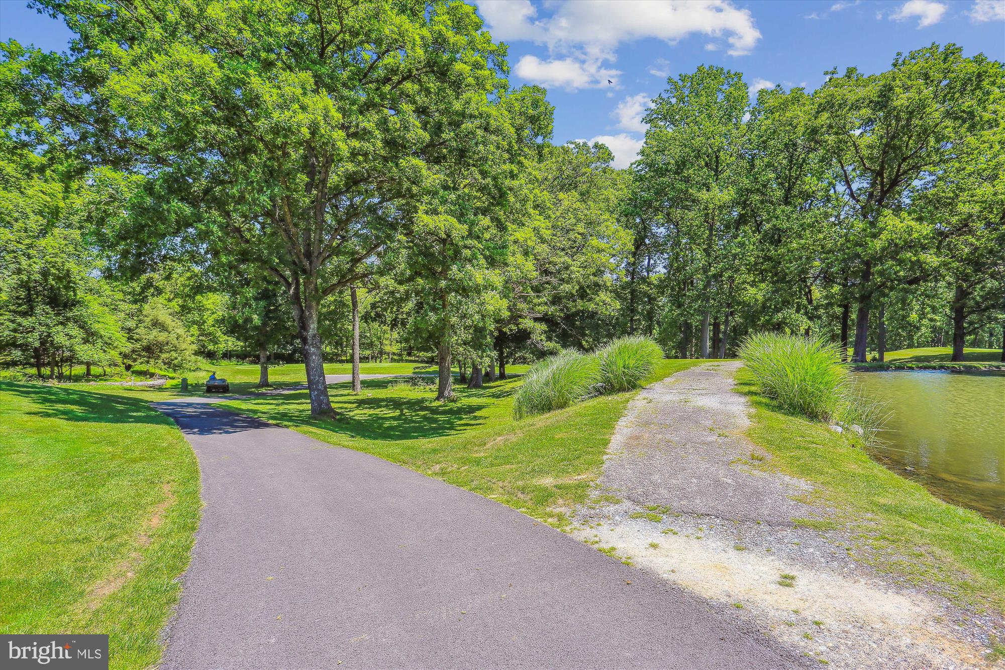 15115 Interlachen Drive, Unit 3308 Silver Spring, MD 20906 - Photo 23 of 50 a view of a park with large trees