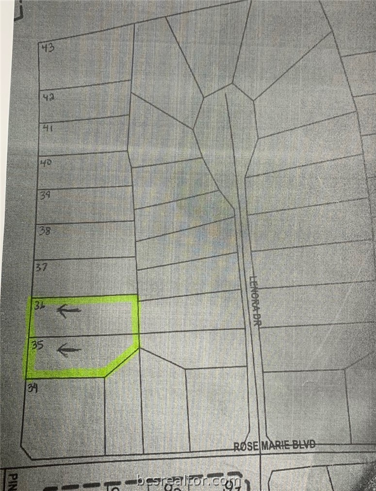 0 Pine Street Hearne, TX 77859 - Photo 2 of 2